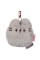 Брелок Yes Pusheen W-5 (533861)