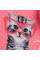 Рюкзак шкільний ортопедичний Kite NEW Education Studio Pets 35x26x13 (SP24-555S-2)