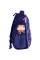 Рюкзак шкільний ортопедичний Kite NEW Education Check and Hearts 35x26x13 (K24-555S-1)