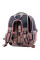 Рюкзак шкільний ортопедичний YES S-57 Cosmos (553210)