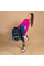 Рюкзак підлітковий Kite NEW Education teens 42x29x20 (K24-727M-1)