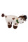 Подставка для моб.телефона COW 17*25cм в ящ.міх:2 вида (750083)