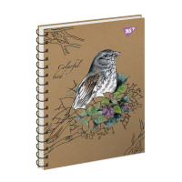 Тетрадь Colarful birds 120 листов клетка YES (681910)