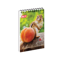 Зошит для записів Yes Сhipmunk and peach одинарна спіраль А7/80 аркушів (152561)