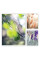 Зошит для записів Yes Nature Impressionism клітина А4/80 аркушів (152425)