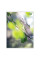 Зошит для записів Yes Nature Impressionism клітина А4/80 аркушів (152425)