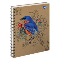 Тетрадь Colarful birds 96 листов клетка YES (681925)