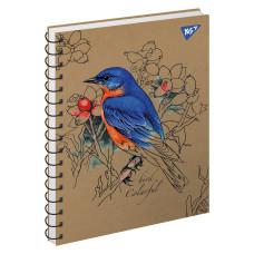 Тетрадь Colarful birds 96 листов клетка YES (681925)