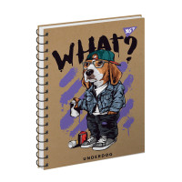 Зошит Cool animals. Dog 120 аркушів клітинка YES (681917)