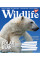 А5/36 кл. YES Wild life Зошит шкільний дя записів набір 15 шт (765953)
