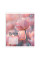 Зошит шкільний Yes Bloom or fade А5 18 аркушів клітинка (768872)