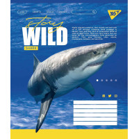 Тетрадь школьная А5 18 линия YES Stay Wild набор 25 шт. (764986)