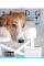 Зошит шкільний А5/18 кл. YES Dog my best friend Зошит шкільний учнів. набір 25 шт (765823)