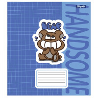 Тетрадь школьная А5/12 косая линия Handsome набор 25 шт (766552)