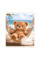 Зошит шкільний 1Вересня Bear stories А5 24 аркушів лінія (768975)