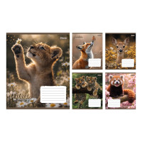 Зошит шкільний 1Вересня Wildlife is beautiful А5 24 аркушів клітинка (769146)
