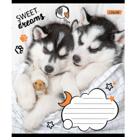 Зошит шкільний А5/18 клітинка 1В Sweet dreams набір 25 шт. (765815)