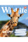 Зошит шкільний А5/96 лінійка YES Wild life зошит для записів набір 5 шт. (766133)