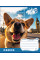 Тетрадь школьная Best travel blogger А5 24 листов клетка YES (767012)