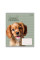 Зошит шкільний 1Вересня Puppy friends А5 12 аркушів клітинка (768776)