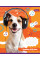 Нотная Тетрадь школьная А5 12 1B Pets In Headphone набор 25 шт. (764881)