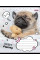 Тетрадь школьная А5/18 лінійка. 1В Sweet dreams (765844)