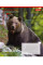 Тетрадь школьная 1B Animals of Ukraine А5 18 листов линия 1 Вересня (767251)