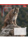 Тетрадь школьная 1B Animals of Ukraine А5 18 листов линия 1 Вересня (767251)