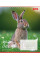 Тетрадь школьная 1B Animals of Ukraine А5 18 листов линия 1 Вересня (767251)