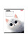 Зошит шкільний 1Вересня Little cat А5 12 аркушів лінія (768735)