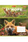 Зошит шкільна А5 18 лінія 1В Earth Animal набір 25 шт. (764895)
