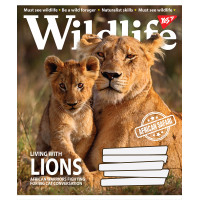 А5/60 лін. YES Wild life Зошит шкільний дя записів набір 10 шт (766083)