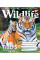 А5/60 лін. YES Wild life Зошит шкільний дя записів набір 10 шт (766083)