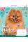 Зошит шкільний А5/18 клітинка 1В Well Hello! набір 25 шт. (766322)