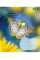 Тетрадь школьная 1В Butterfly А5 36 листов клетка 1 Вересня (767323)