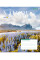 Тетрадь школьная 1В Colors of nature А5 60 листов клетка 1 Вересня (767394)