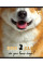 Тетрадь школьная А5 12 Лин. YES Pets Club набор 10 шт (764230)