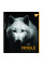 Зошит шкільний А5 96 лінійка Noble YES (766905)