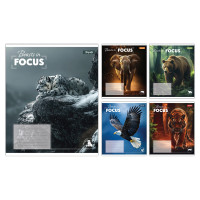 Зошит учнівський загальний Beasts in Focus А5 36 аркушів лінія 1 Вересня (768059)