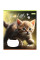 Зошит шкільний 1Вересня Your little cat 12 аркушів лінія (766537)