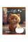 Зошит шкільний 1Вересня Your little cat 12 аркушів лінія (766537)