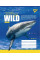 Зошит шкільна А5 48 лінія YES Stay Wild набір 10 шт. (765039)