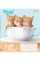 Зошит шкільний А5 60 Лін. 1В Little Kittens набір 10 шт (763668)