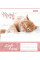 Зошит шкільний А5 60 Лін. 1В Little Kittens набір 10 шт (763668)
