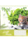 Зошит шкільний А5 60 Лін. 1В Little Kittens набір 10 шт (763668)