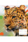 Тетрадь А5 48 Лин. YES Animal набор 10 шт (765031)