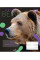 Тетрадь А5 48 Лин. YES Animal набор 10 шт (765031)