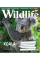 Тетрадь школьная А5/18 кл. YES Wild life Тетрадь школьная учен. набор 25 шт (765836)