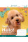 Тетрадь школьная А5/12 линия 1В Well Hello! набор 25 шт. (766284)