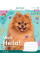 Тетрадь школьная А5/12 линия 1В Well Hello! набор 25 шт. (766284)
